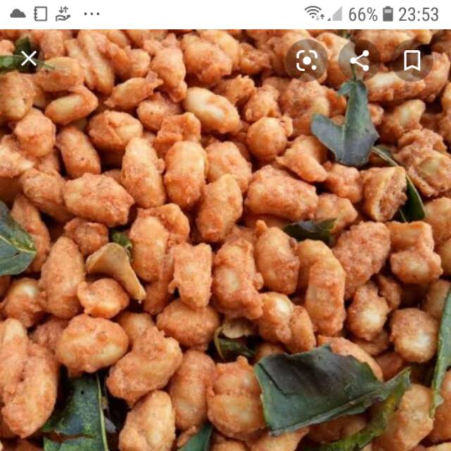 

Kacang thailand