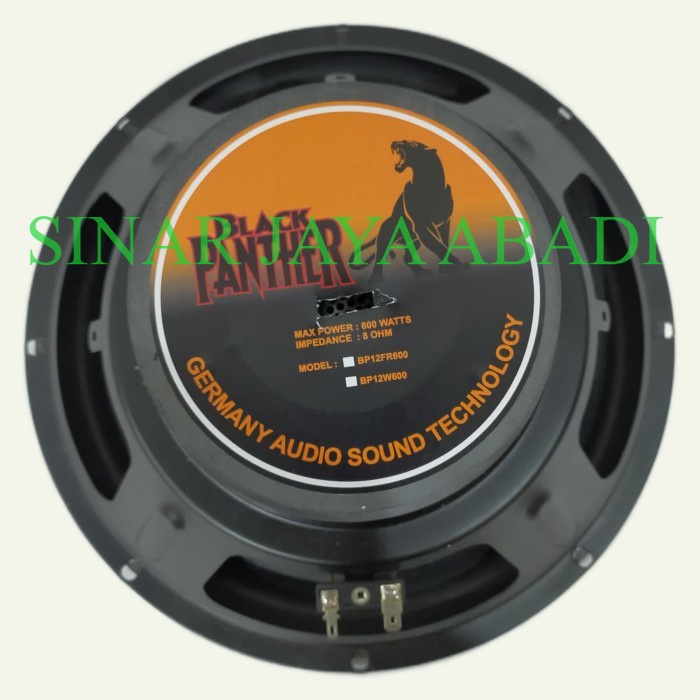 SPEAKER WOOFER KOMPONEN BLACK PANTHER 10 INCH KARAKTER VOKAL KARAOKE