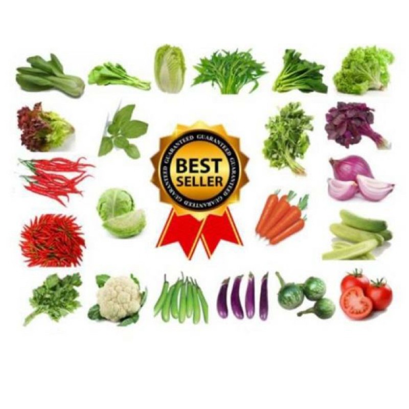 aneka benih dan bibit sayur, buah, bunga repack 3000an