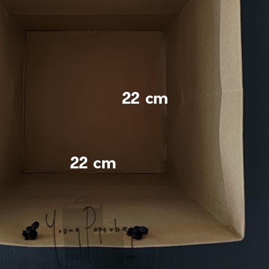 

Paper Bag Kue/Nasi/Bento Box Polos Kraft Coklat 22 x 22 x 30 150GSM