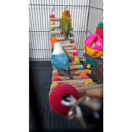 Image of Panjang 1mtr mainan jembatan burung #2