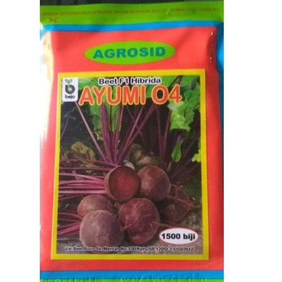 Bibit buah bit, benih beet root, bitroot ayumi F1 agrosid isi 1.500 biji