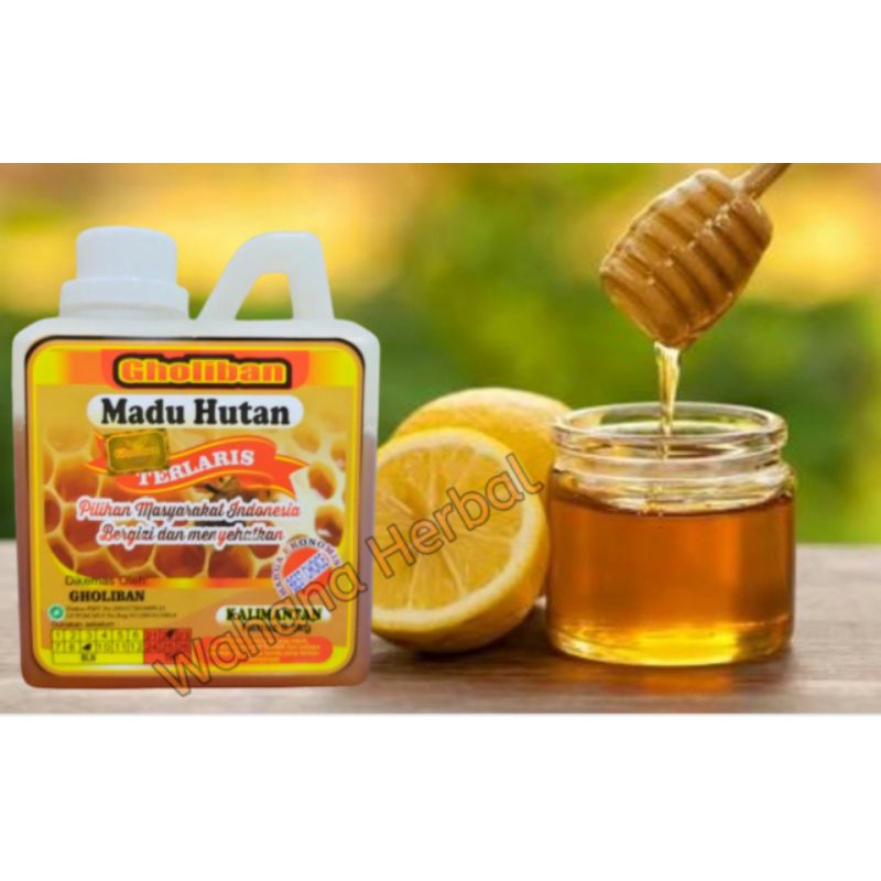 

Madu Kalimantan Gholiban 500 gr Original Botol Timbul Huruf Gholiban
