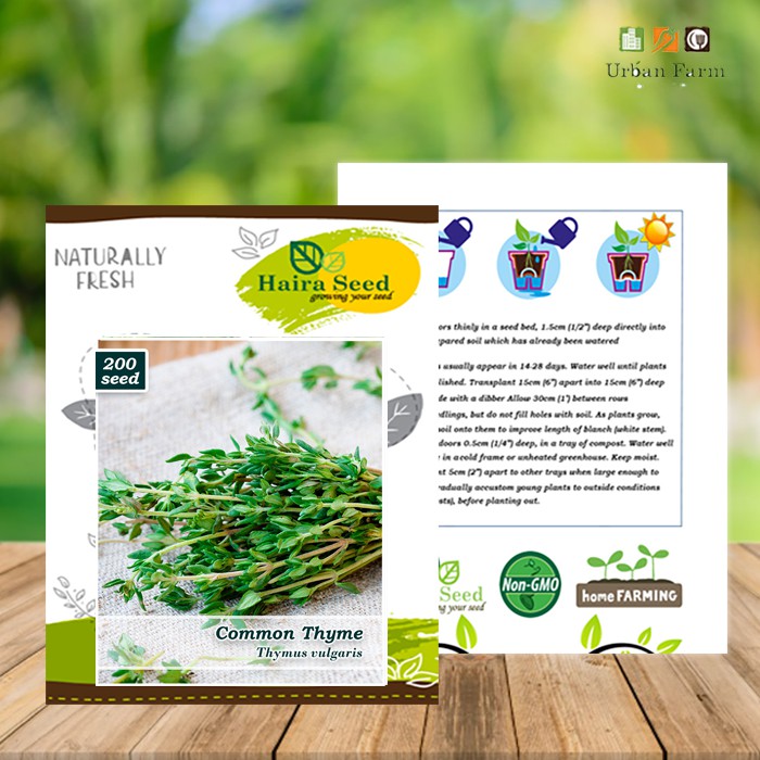 Benih-Bibit Herb Thyme (Haira Seed)