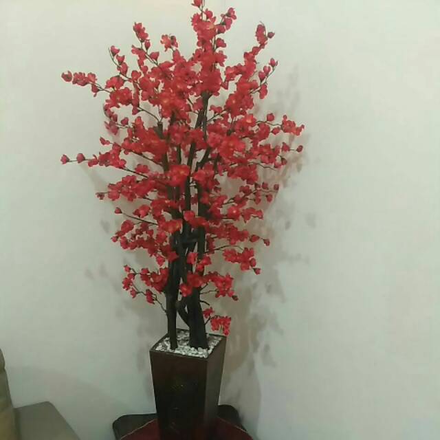 

Bunga Sakura Merah