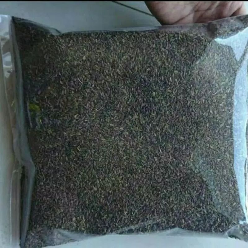 

Benih wortel lokal unggulan / bibit wortel lokal pilihan
