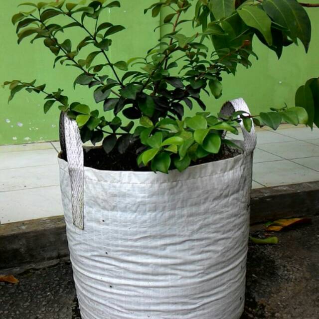 Planter bag 50 Liter