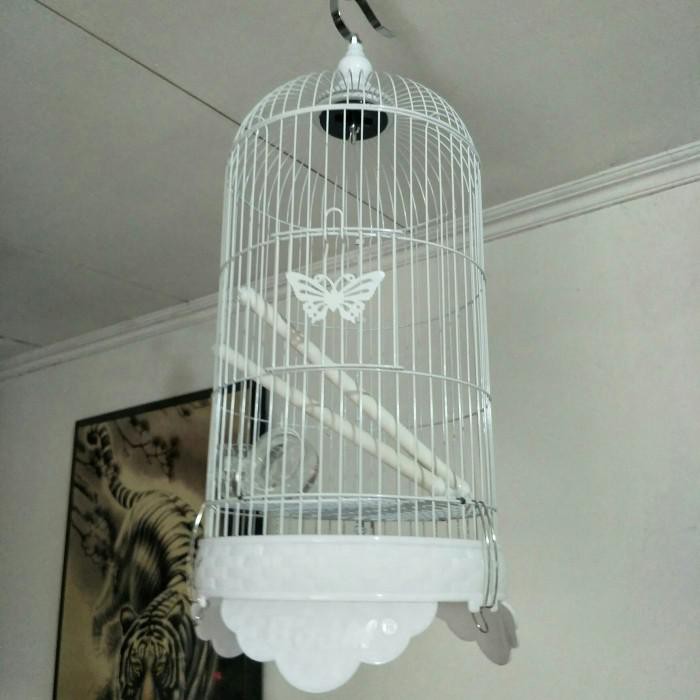 Lianp | Kandang Pleci Merk Boom/Kandang Burung Lovebird/Kandang Lovebird Kekinian Terlaris
