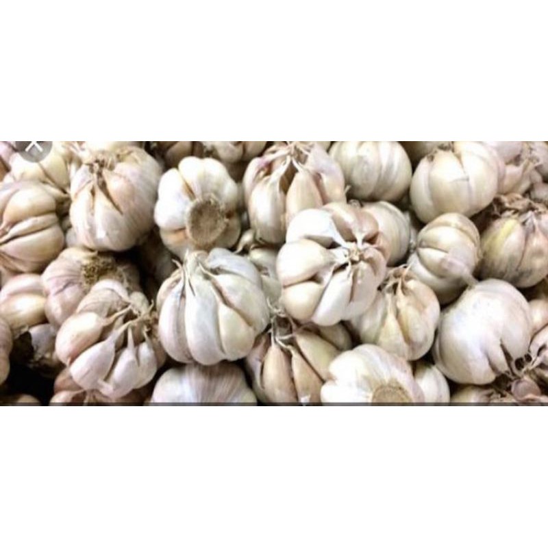 Bawang Putih 1 Kg