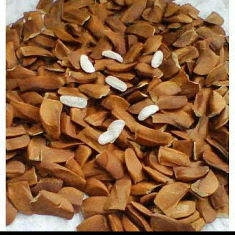 

biji mahoni kering original untuk diabetes 500gram
