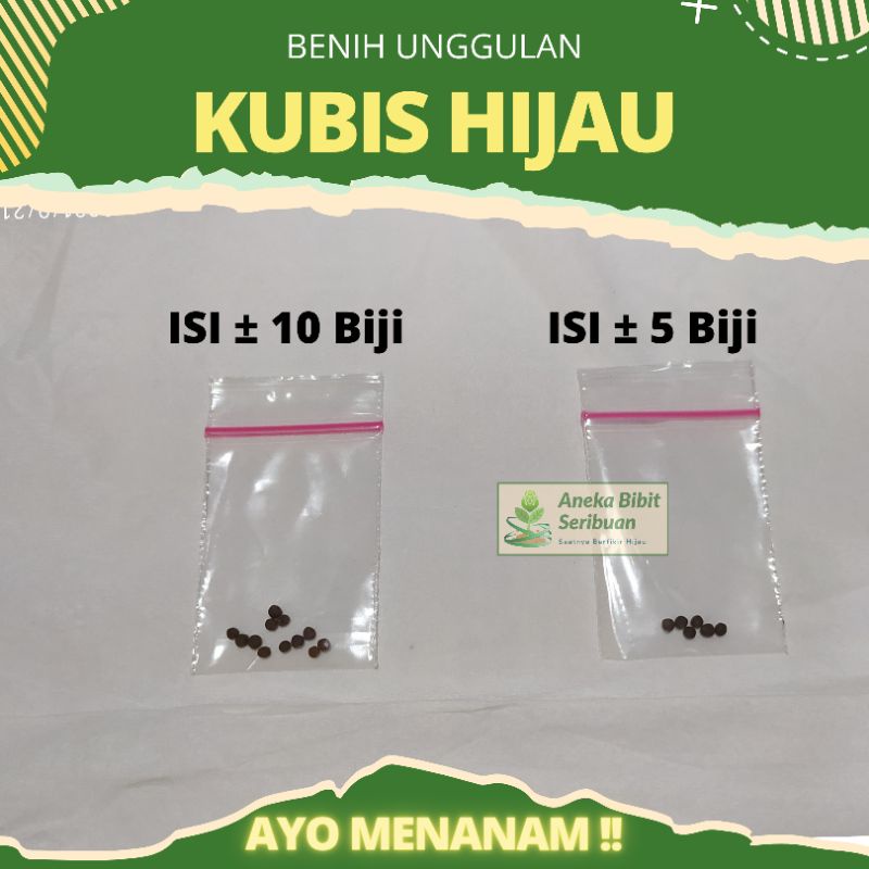 10 Benih Kubis hijau Dataran Rendah dari Known You Seeds