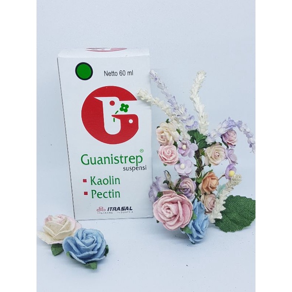 Guanistrep Sirup 60ml / Kaolin dan Pectin / Obat Diare Anak