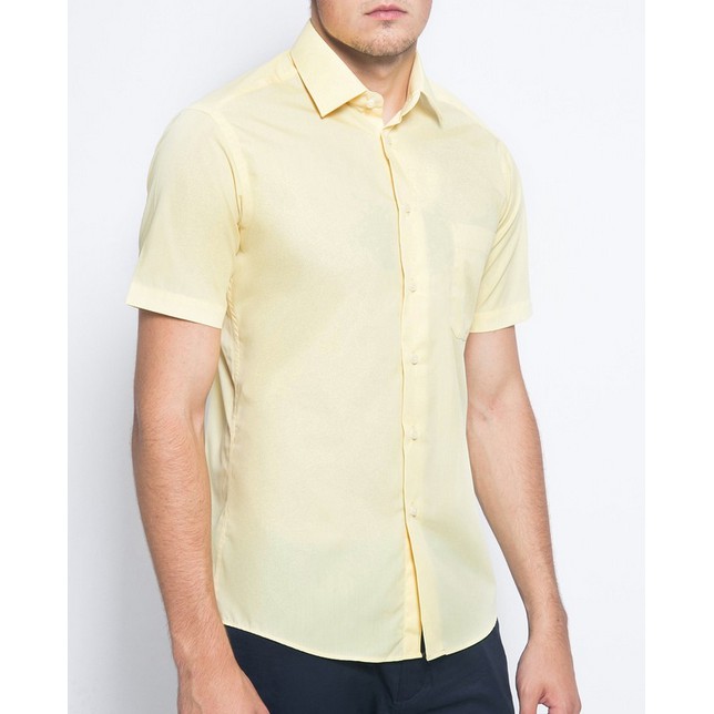 Kemeja ALISAN Polos Lengan PENDEK Regular Fit ( KUNING , SALEM , CREAM )