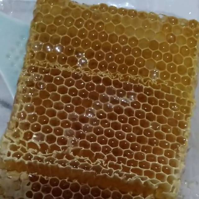 

Madu sarang /sarang madu combany