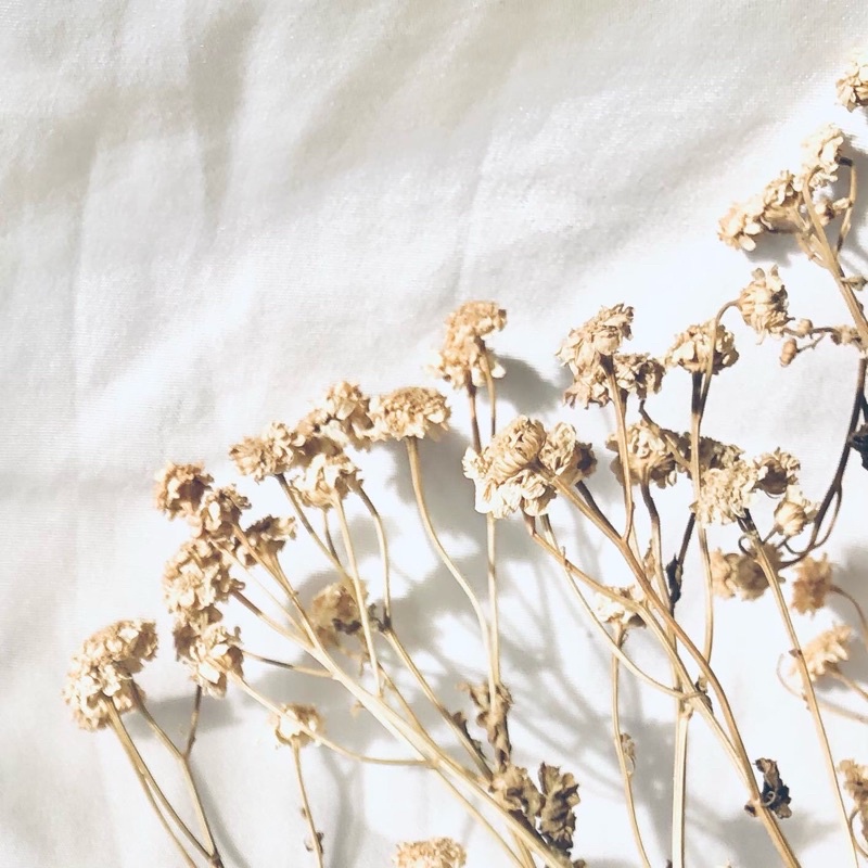 nct  packing syb suc