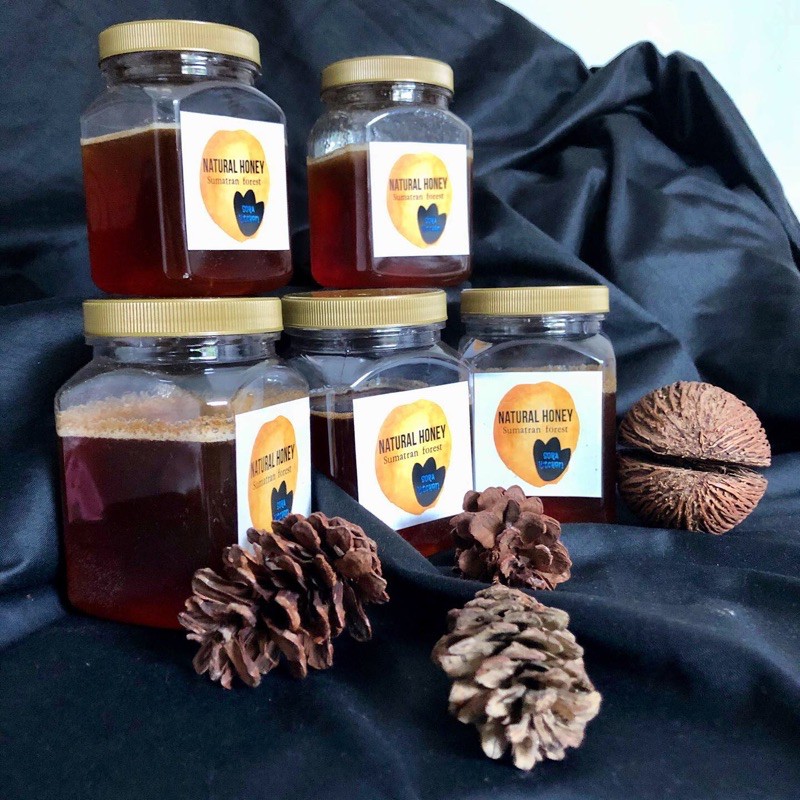 

madu hutan asli Sumatera