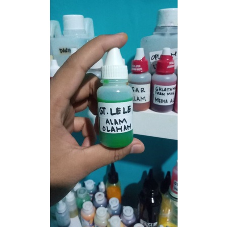 Essen Galatama lele , Gacor