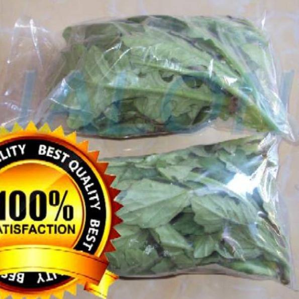

<R-OZT <♡ daun dewa segar asli organik 100gram bukan tapak liman tanpa pestisida <✯✯✯✯✯