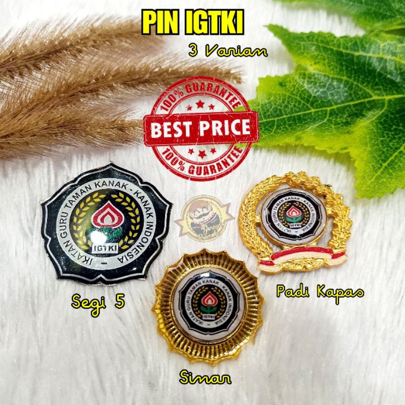 PIN IGTKI - IKATAN GURU TAMAN KANAK-KANAK INDONESIA