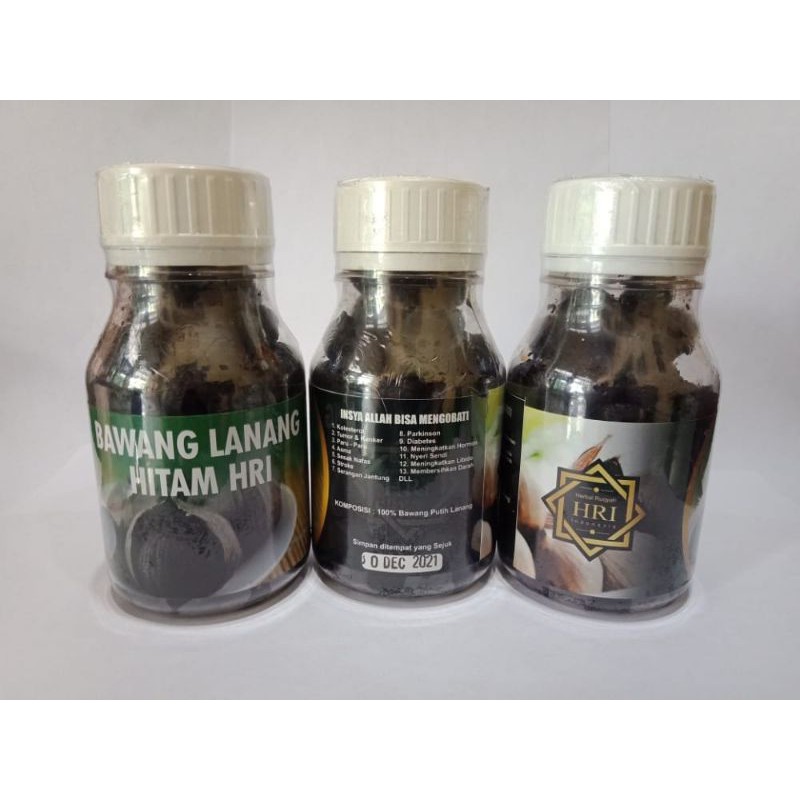 

Bawang Lanang Hitam HRI