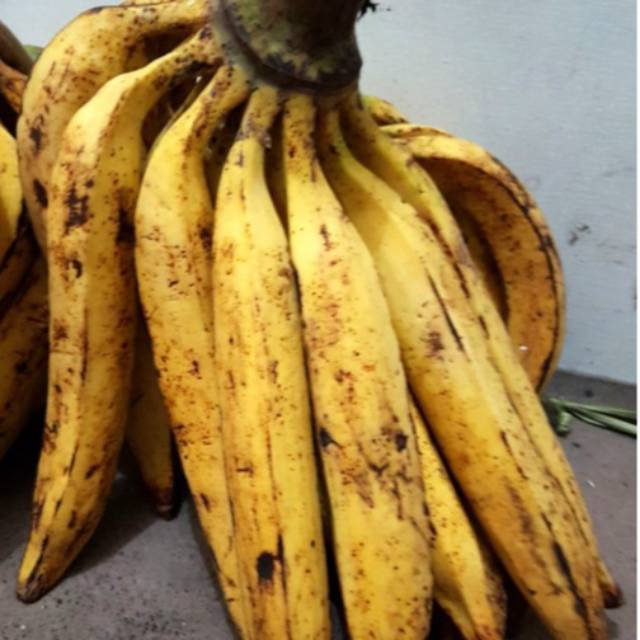 

pisang tanduk