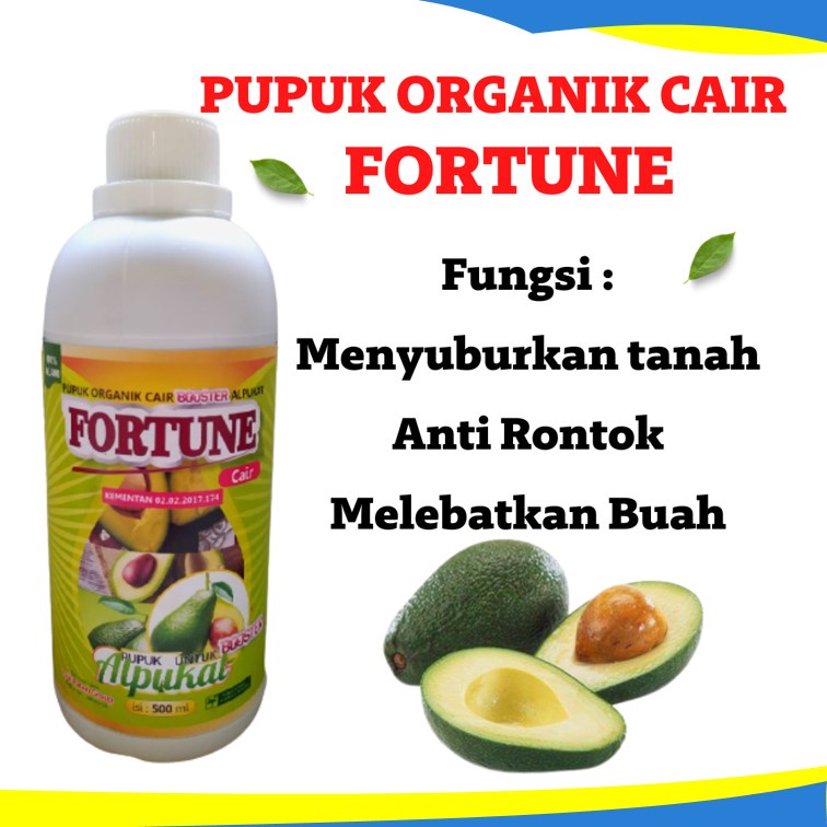 Pupuk Buah Alpukat Untuk Pertumbuhan, Booster Organik Untuk Melebatkan Buah