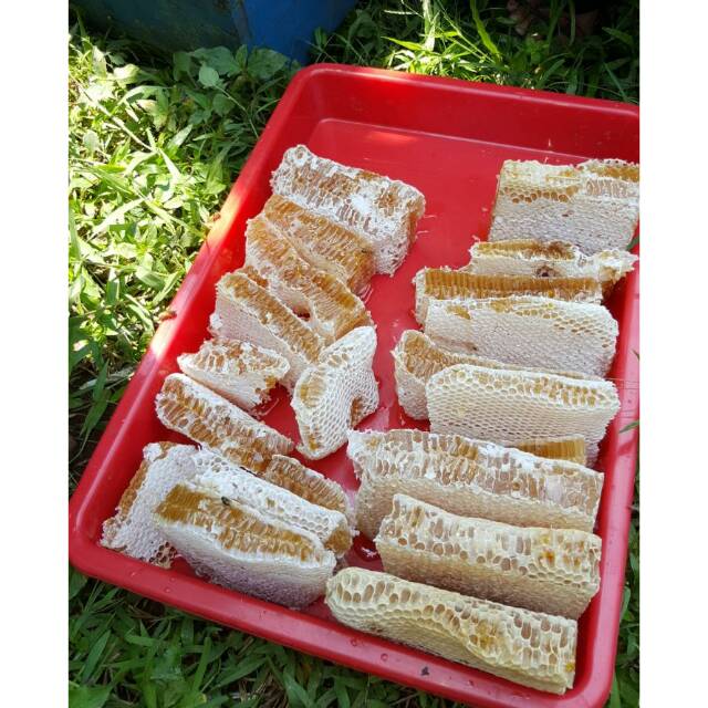 

Madu sarang multiflora