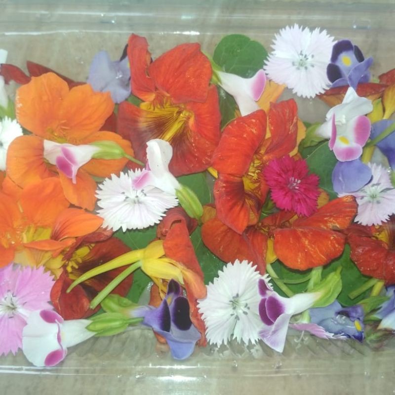 

Edible flower (bisa request bunga)