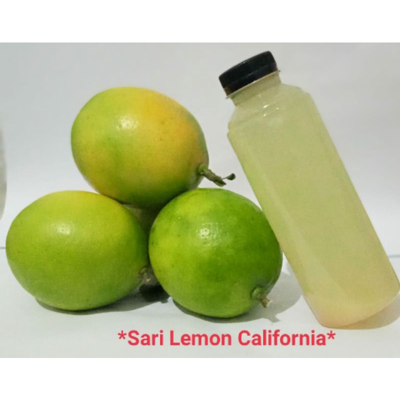 

Sari Lemon California 250 Ml / Sari Buah Lemon / Jus Lemon / Lemon Kalifornia /California Segar / Diet Alami / Asli Murni Tanpa Pengawet 250 ML (Garansi) / Anti Kolesterol / Detox Alami/ Sari Lemon