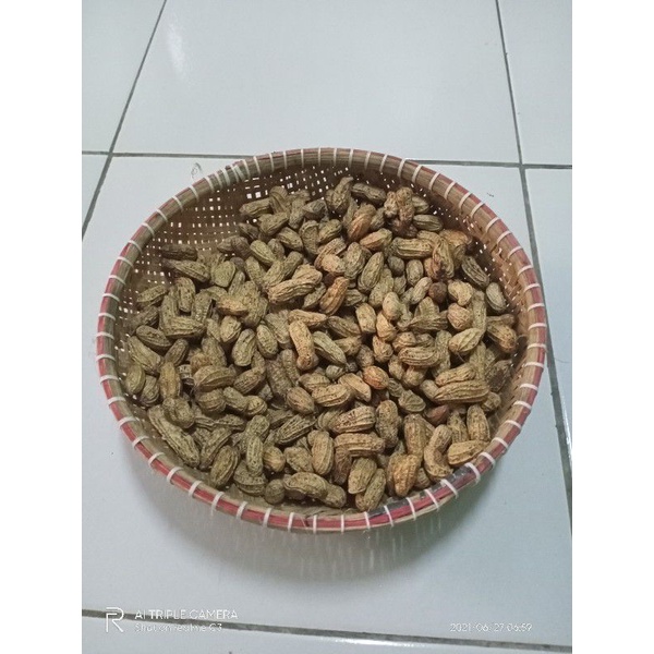 

Kacang Tanah Kacang Kulit Mentah 1kg 1 kg