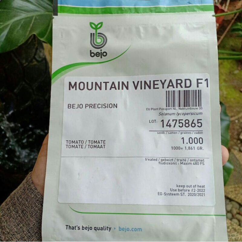 benih tomat cherry lonjong bejo repacking isi 5 seeds