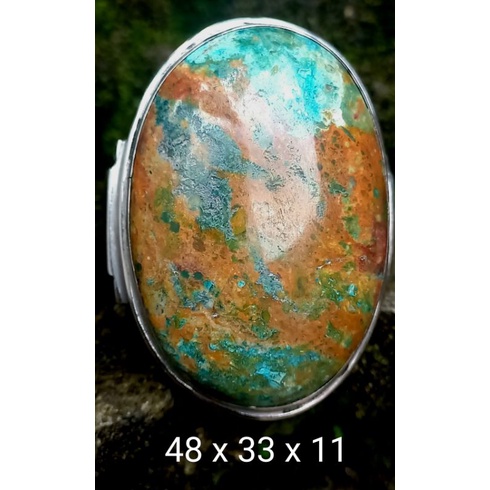 pirus persia lawasan super jumbo