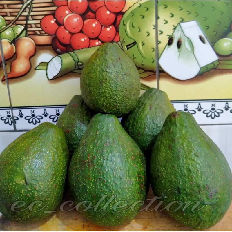 

Alpukat Mentega 1KG/Avocado/Buah segar/Alpukat promo