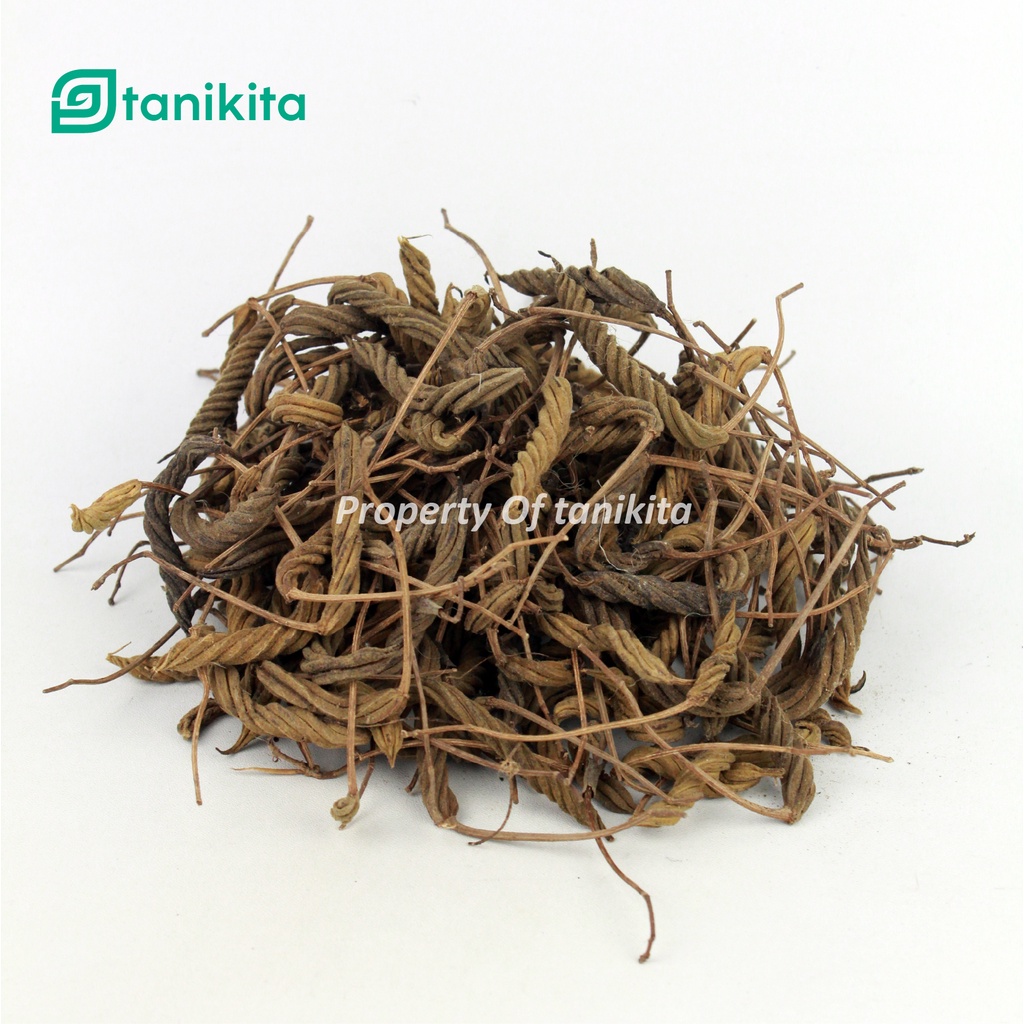 

Kayu Ules 1kg - Kayu Puteran - Herbal Kayu Ules