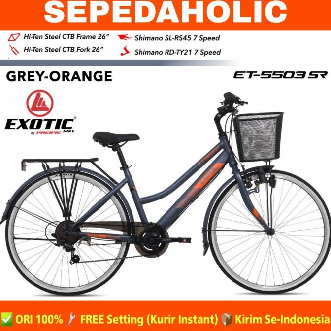 Sepeda Keranjang City Bike Exotic 5503