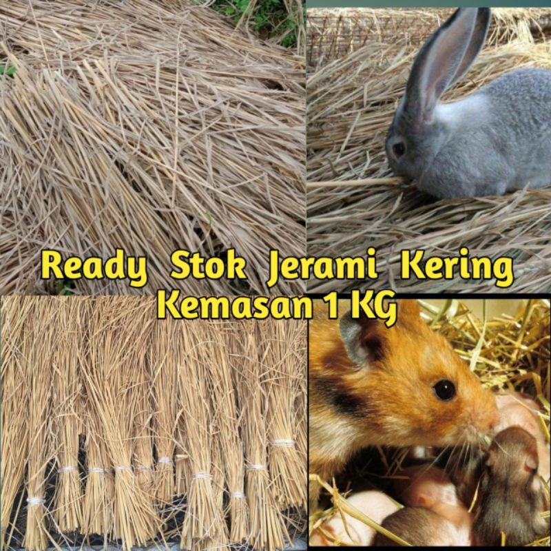 Jerami Kering - Jerami Kering Untuk Dekorasi - Jerami Kering Kelinci 1KG