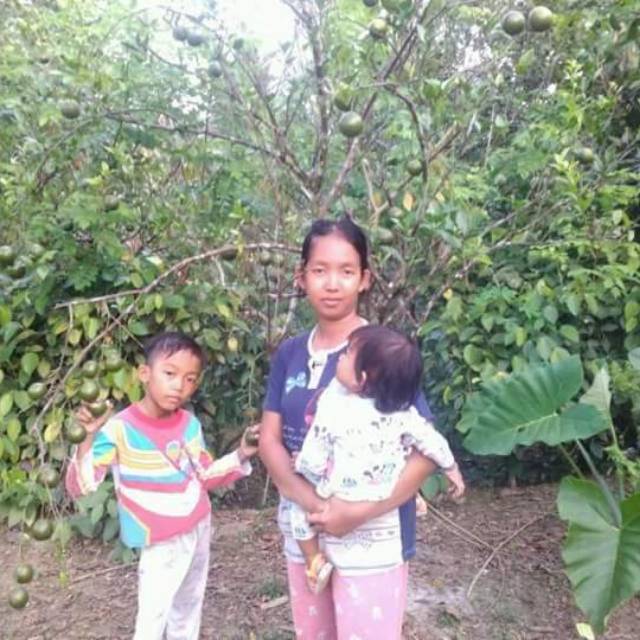 nurdinalamsyah