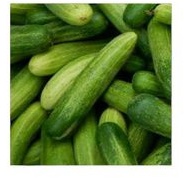 

Timun segar 500g