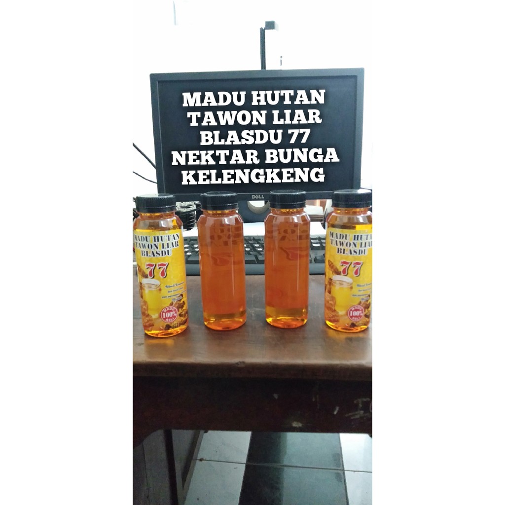 

Madu Hutan Blasdu 77