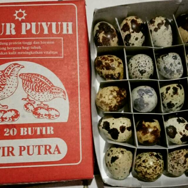 

Telur puyuh mentah