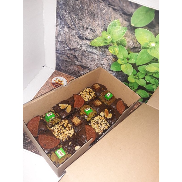 

fudgy brownies 22*10