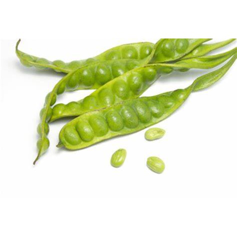 

PETAI / PETE FRESH PER PAPAN 1 LONJOR