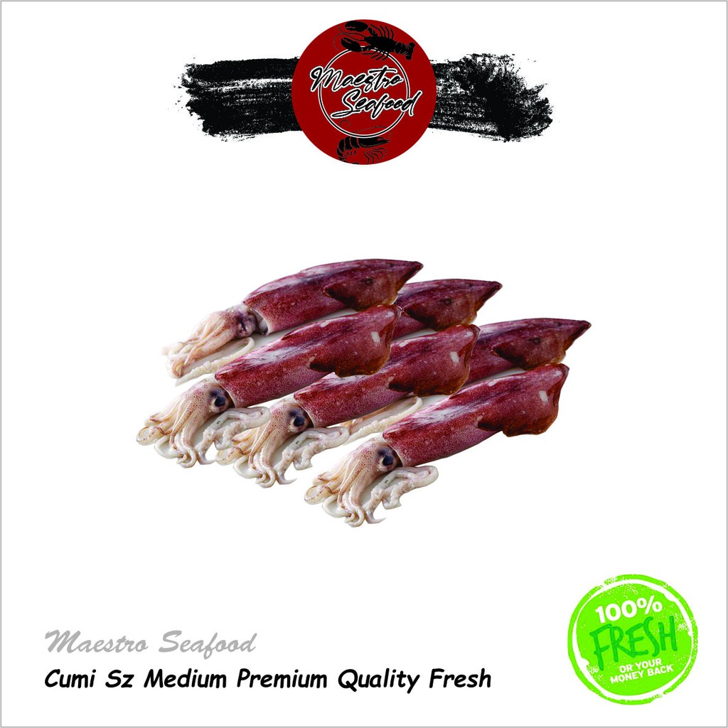 

Cumi Ukuran Sedang Premium Quality Fresh - 500 gr