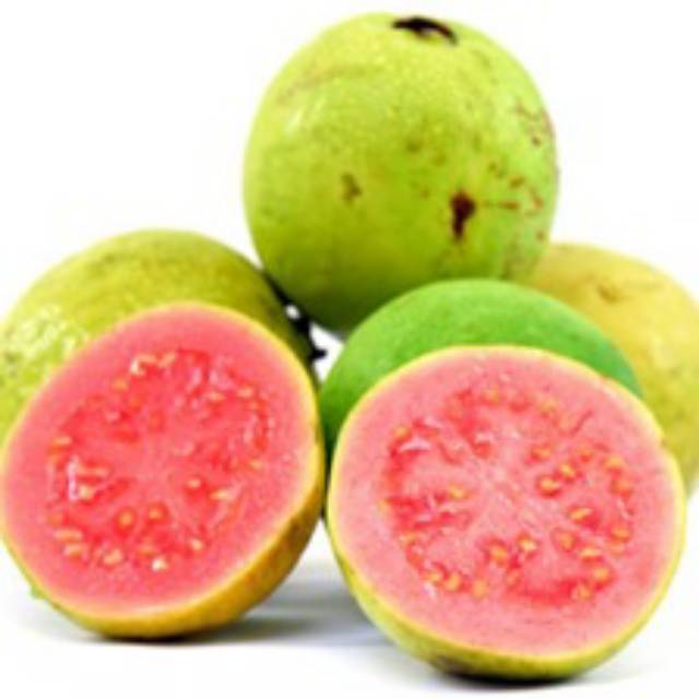 

Jambu klutuk Merah 500gr