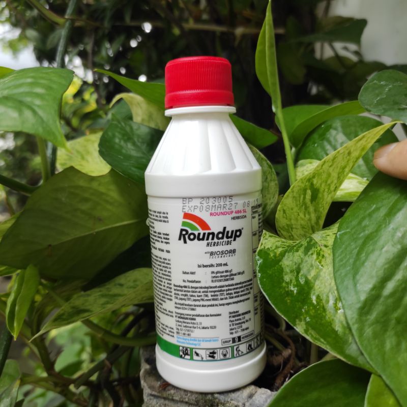 RACUN PEMBASMI RUMPUT ROUNDUP 200ML HERBISIDA GULMA LIAR OBAT PALING AMPUH ROUND UP 200 ML ASLI