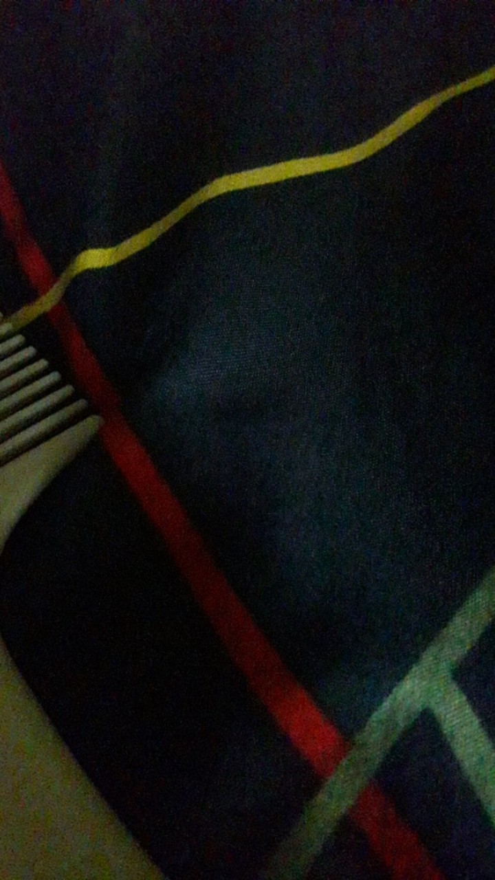 Container Box Hongta Sb 45 Ltr