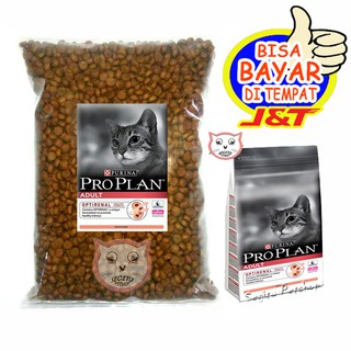 pro plan junior cat food