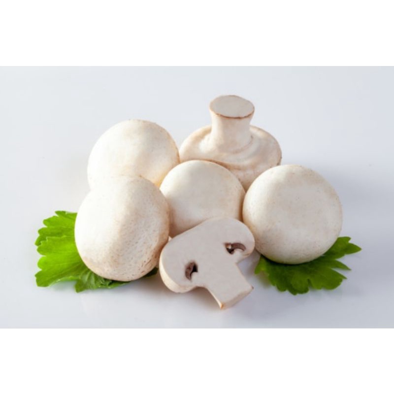 

jamur champignon