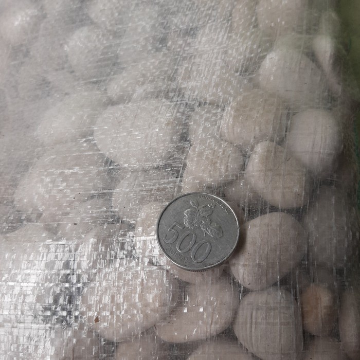 Koral putih ( Sebesar Koin 500an /10 kg)-grosir Karawaci