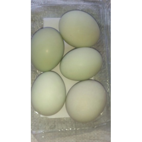 

Telur asin premium